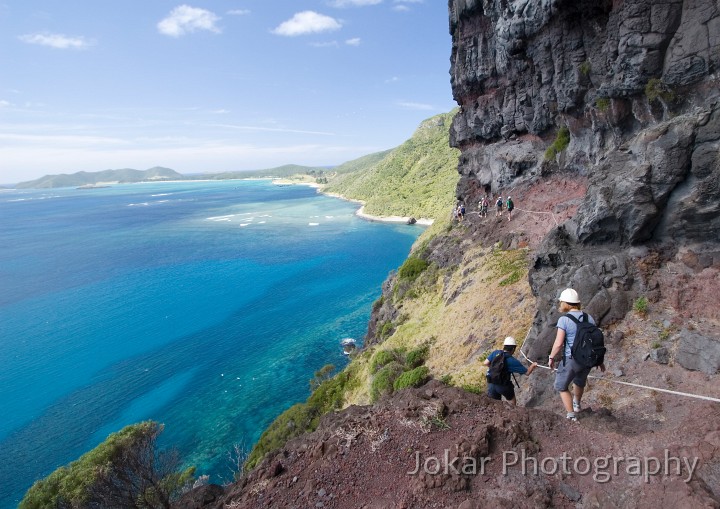 Lord Howe Island_20061211_104.jpg